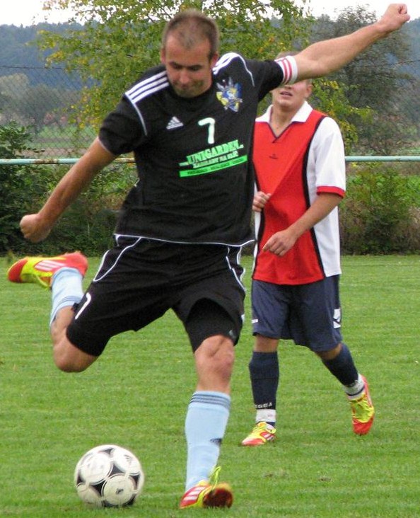 eriksson2
