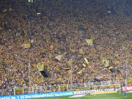 fans